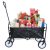 Folding Wagon Garden Shopping Beach Cart (Black)