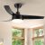 Matte Black Ceiling Fan with Integrated LED Light – Stylish and Efficient