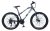 RAINIER MODEL 26″STEEL MTB Black/White