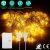 Globe String Lights 100 Ball LED Fairy Lamps – Waterproof and Eco-friendly