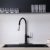 1.6 gallons Black Pull Down Single Handle Kitchen Faucet with Accessories